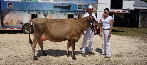 Champion Jersey cow standing with owners. 