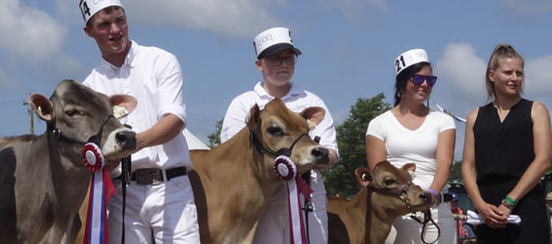 Champion Jersey cow Champion Jersey cow standing with owners.