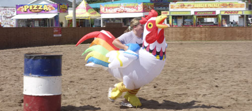 Pair of Belgian horses. Close up of a pair of Belgian horses.