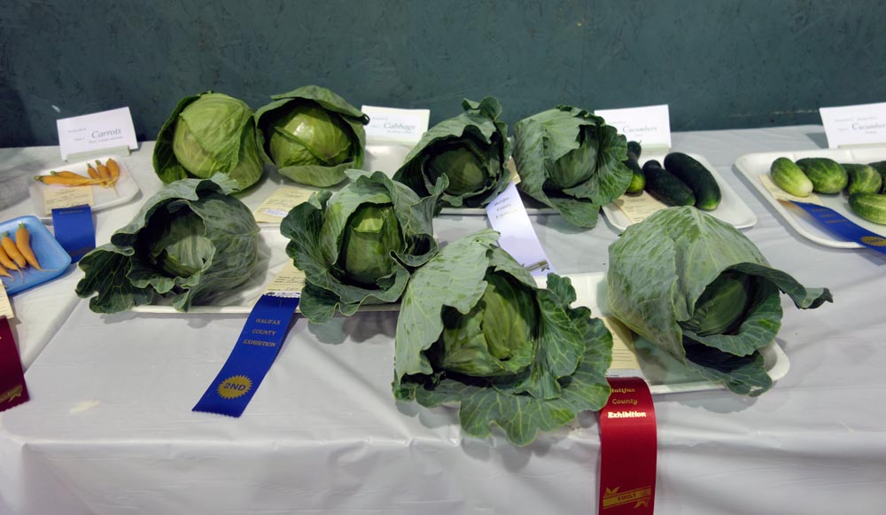 Vegetables on a table.